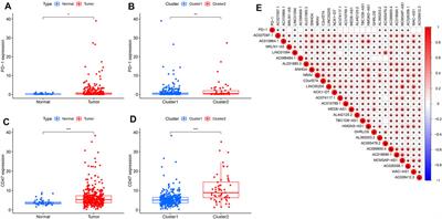 Comprehensive Analysis of the Correlation Between Pyroptosis-Related LncRNAs and Tumor Microenvironment, Prognosis, and Immune Infiltration in Hepatocellular Carcinoma